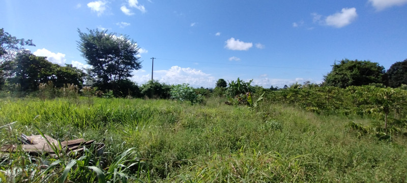 Chácara à venda Centro com 5000m² e 3 quartos por R$ 700.000 - 1023792031-img-20240120-150925633.jpg