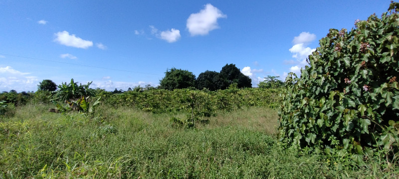 Chácara à venda Centro com 5000m² e 3 quartos por R$ 700.000 - 1248813548-img-20240120-150922882.jpg