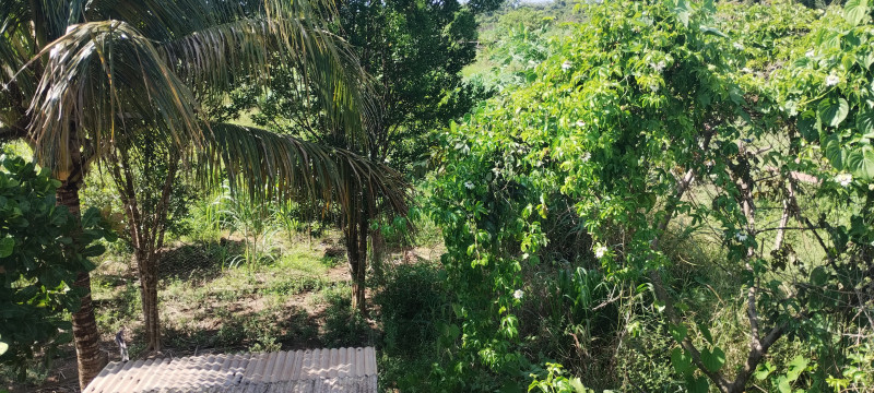 Chácara à venda Centro com 5000m² e 3 quartos por R$ 700.000 - 1665852909-img-20240120-150500715.jpg