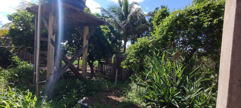 Chácara à venda Centro com 5000m² e 3 quartos por R$ 700.000 - 244535849-img-20240120-150655847.jpg