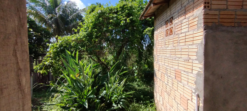 Chácara à venda Centro com 5000m² e 3 quartos por R$ 700.000 - 266375066-img-20240120-150658818.jpg
