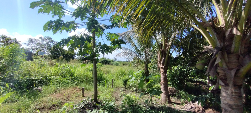 Chácara à venda Centro com 5000m² e 3 quartos por R$ 700.000 - 268906272-img-20240120-150849007.jpg