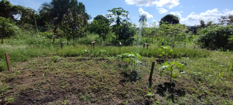 Chácara à venda Centro com 5000m² e 3 quartos por R$ 700.000 - 306582586-img-20240120-150843786.jpg