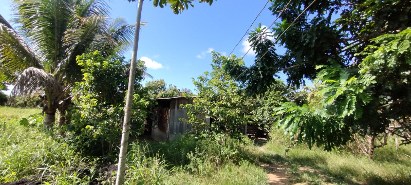 Chácara à venda Centro com 5000m² e 3 quartos por R$ 700.000 - 316104085-img-20240120-150837190.jpg