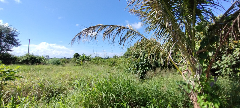 Chácara à venda Centro com 5000m² e 3 quartos por R$ 700.000 - 336967411-img-20240120-150907613.jpg