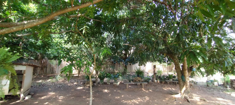 Chácara à venda Centro com 5000m² e 3 quartos por R$ 700.000 - 34972077-img-20240120-150823692.jpg