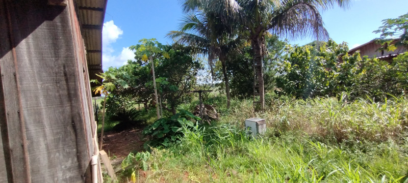 Chácara à venda Centro com 5000m² e 3 quartos por R$ 700.000 - 449454420-img-20240120-150649983.jpg