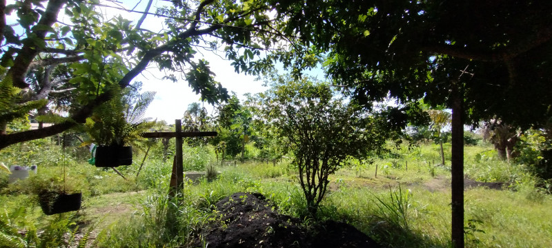Chácara à venda Centro com 5000m² e 3 quartos por R$ 700.000 - 596443265-img-20240120-150829187.jpg