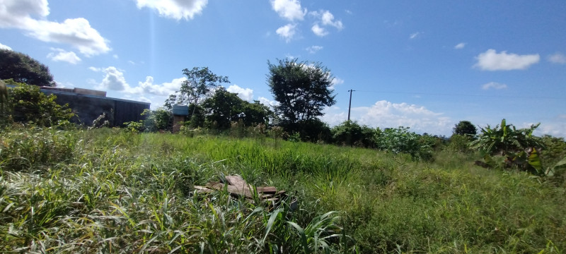 Chácara à venda Centro com 5000m² e 3 quartos por R$ 700.000 - 75741558-img-20240120-150928755.jpg