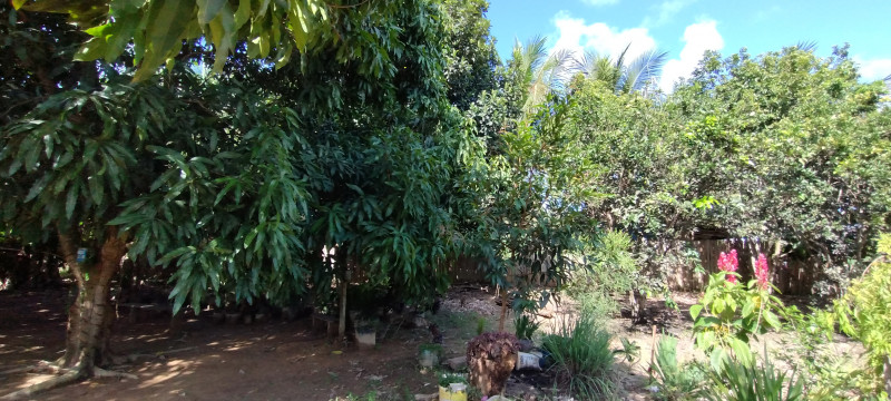 Chácara à venda Centro com 5000m² e 3 quartos por R$ 700.000 - 89174611-img-20240120-150806814.jpg