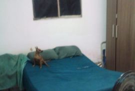 Casa à venda Centro com 220m² - 3 dormitórios -  vagas - R$ 220.000 - 1017641444-img-20231017-wa0026.jpg