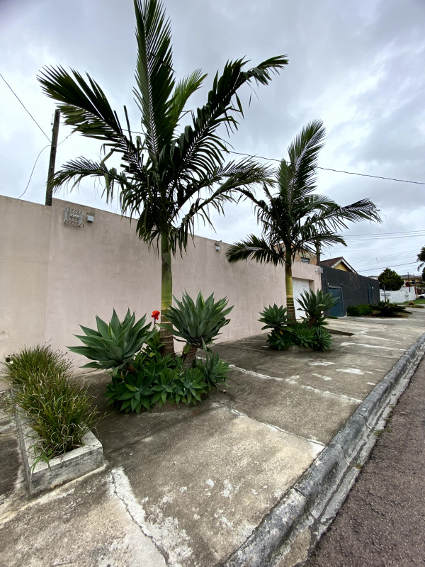 Casa à venda Xaxim com 229m² e 5 quartos por R$ 650.000 - 573586607-img-0335.jpg