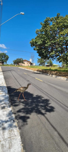 Terreno à venda Canto da Seriema com 1000m² e 1 quarto por R$ 140.000 - 512631626-09.jpeg