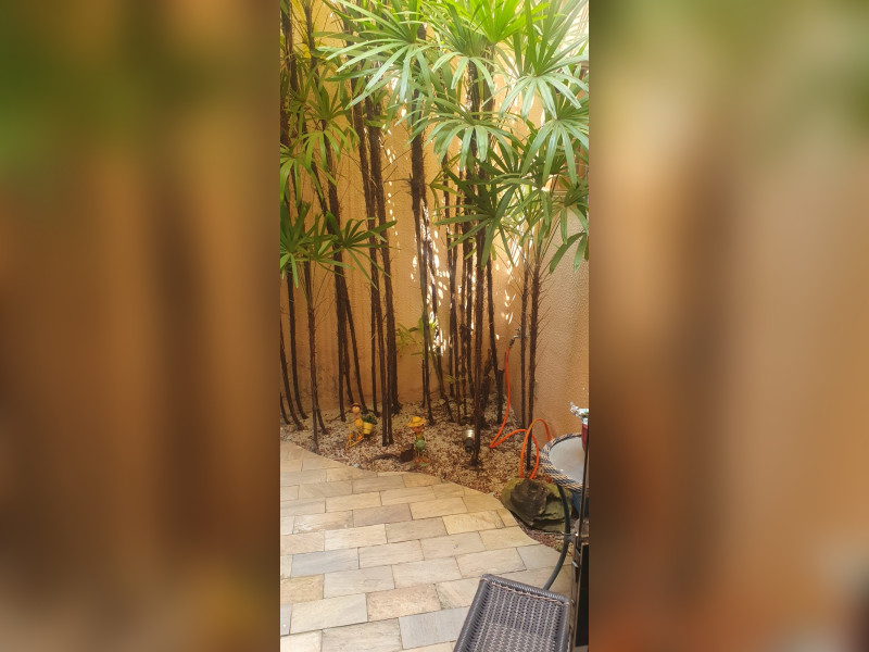Casa à venda Jardim Europa com 250m² e 3 quartos por R$ 750.000 - 03-area-de-luz-01.jpeg