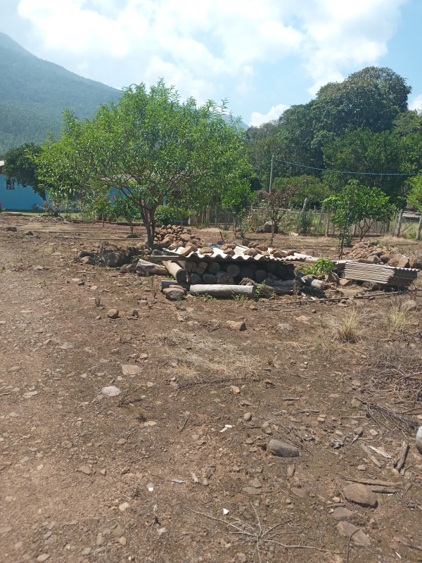 Sítio à venda Centro com 67m² e 2 quartos por R$ 500.000 - 1500048244-inbound91798307888311220.jpg