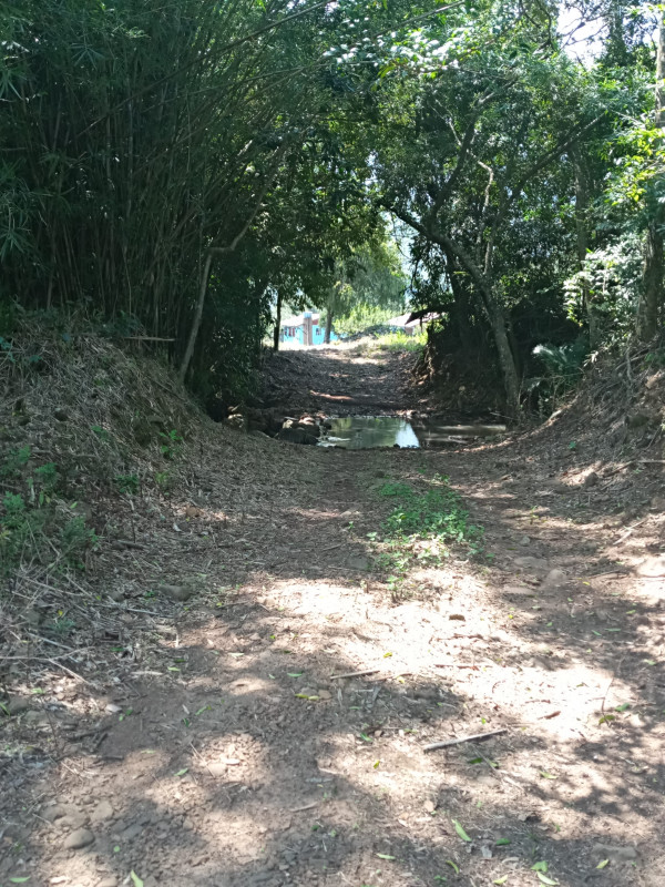 Sítio à venda Centro com 67m² e 2 quartos por R$ 500.000 - 524833689-inbound4029934756173331760.jpg