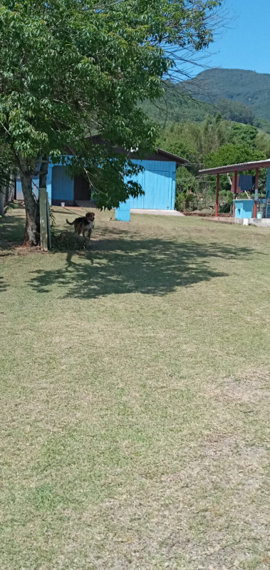 Sítio à venda Centro com 67m² e 2 quartos por R$ 500.000 - 984284493-inbound6694111978464648952.jpg