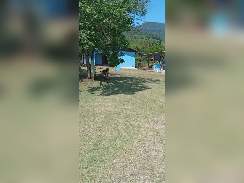 Sítio à venda Centro com 67m² e 2 quartos por R$ 500.000 - inbound7284559288867773961.jpg