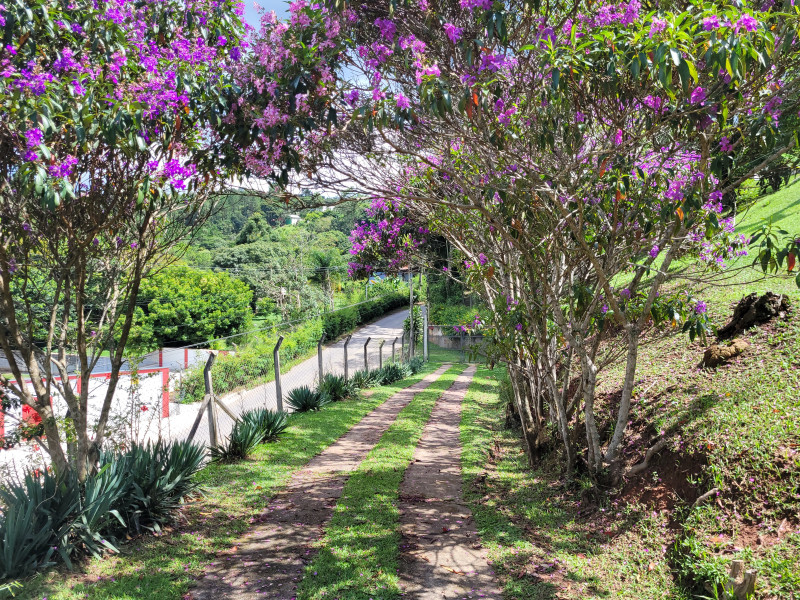 Chácara à venda Soares com 12000m² e 3 quartos por R$ 1.400.000 - 20240121-142511.jpg