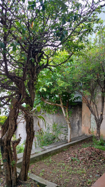 Casa à venda Vila Bertioga com 405m² e 3 quartos por R$ 898.000 - 1828529400-fundos-04.jpg