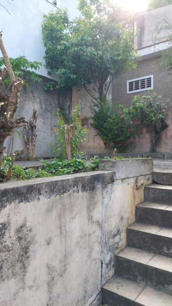 Casa à venda Vila Bertioga com 405m² e 3 quartos por R$ 898.000 - 1849726577-fundos-pomar-jardim.jpg