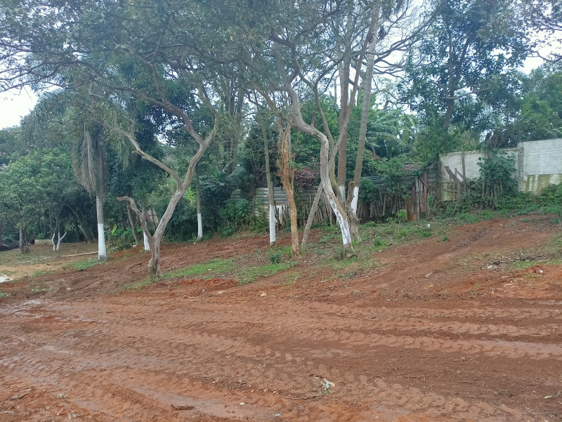 Terreno à venda Chácaras Ceres com 1045m² e 1 quarto por R$ 160 - 265094792-img20230530161947.jpg