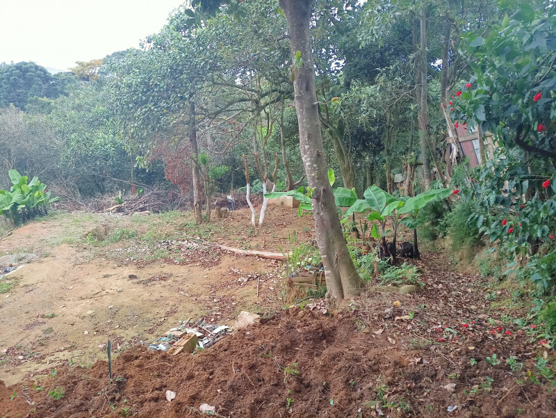 Terreno à venda Chácaras Ceres com 1045m² e 1 quarto por R$ 160 - 381385417-img20230530162039.jpg