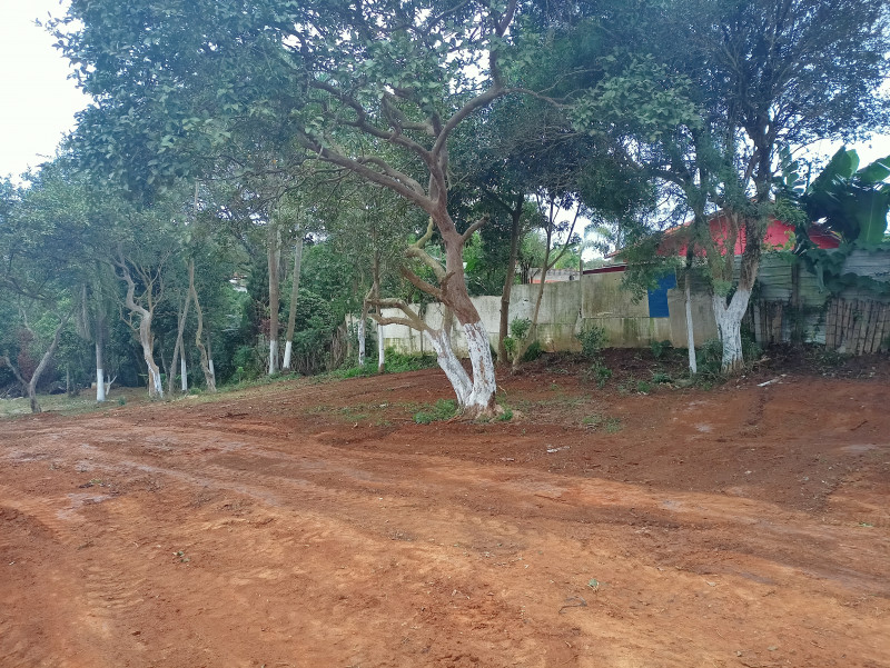 Terreno à venda Chácaras Ceres com 1045m² e 1 quarto por R$ 160 - 772220171-img20230530161916.jpg