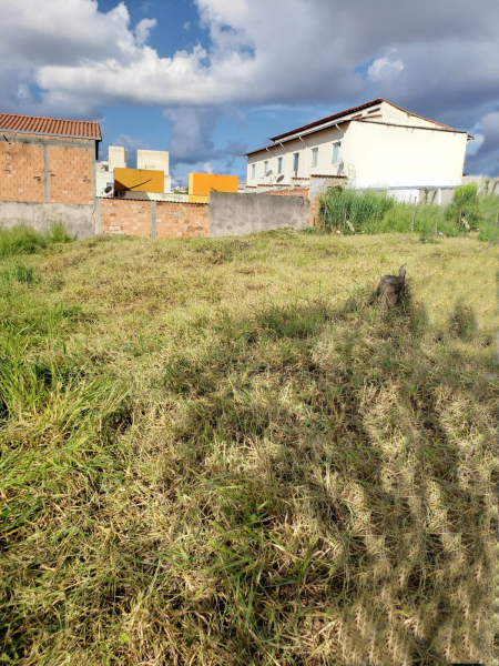 Terreno à venda Parque Xangri-Lá com 360m² e 1 quarto por R$ 360.000 - 1643289384-whatsapp-image-2024-01-24-at-08.png