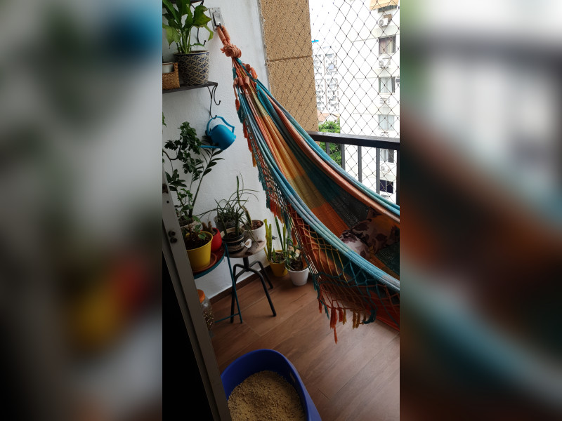 Apartamento à venda Maracanã com 85m² e 2 quartos por R$ 650.000 - inbound4679390253954626122.jpg