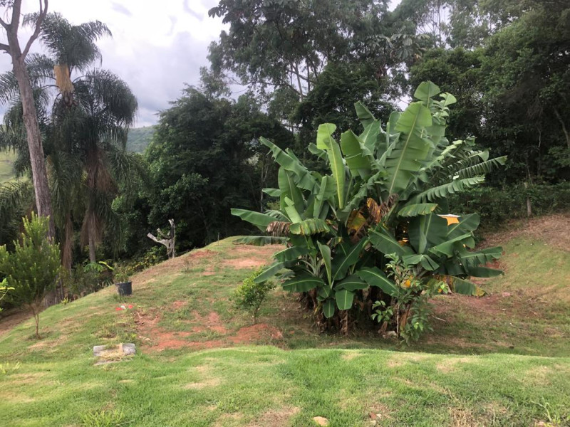 Chácara à venda Luiz Carlos com 212m² e 3 quartos por R$ 950.000 - 7.jpg