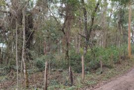 Terreno à venda Centro com 5170m² - 1 dormitório -  vagas - R$ 240.000 - 1487616559-img-20220808-144959.jpg