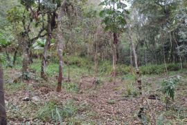 Terreno à venda Centro com 5170m² - 1 dormitório -  vagas - R$ 240.000 - 1838590052-img-20220808-145342.jpg