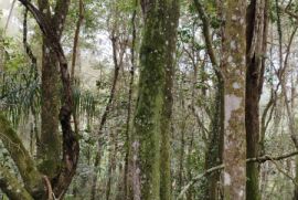 Terreno à venda Centro com 5170m² - 1 dormitório -  vagas - R$ 240.000 - 908596872-img-20220808-144501.jpg