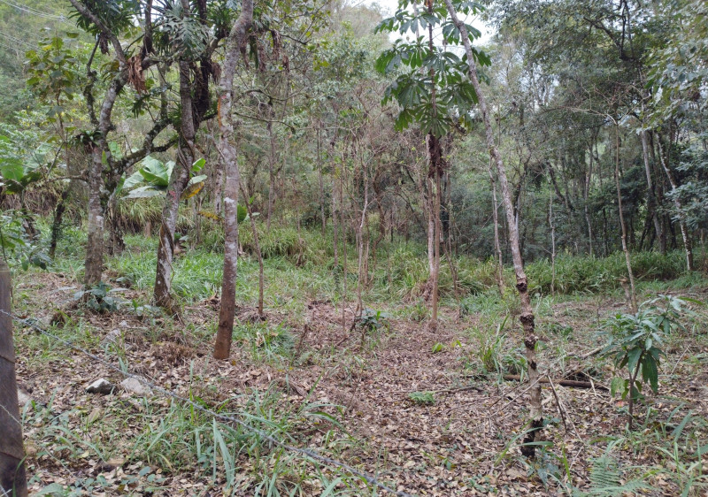 Terreno à venda Centro com 5170m² e 1 quarto por R$ 240.000 - 1838590052-img-20220808-145342.jpg