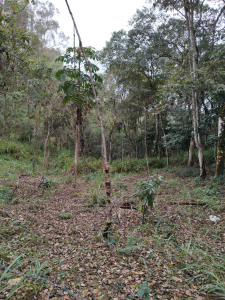 Terreno à venda Centro com 5170m² e 1 quarto por R$ 240.000 - 800618514-img-20220808-145354.jpg