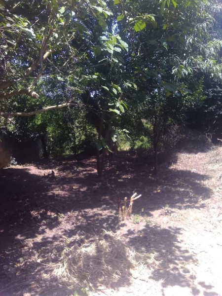 Casa à venda Sesc com 360m² e 2 quartos por R$ 360.000 - 211451517-img-20240126-wa0151.jpg