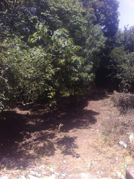 Casa à venda Sesc com 360m² e 2 quartos por R$ 360.000 - 57645910-img-20240126-wa0150.jpg