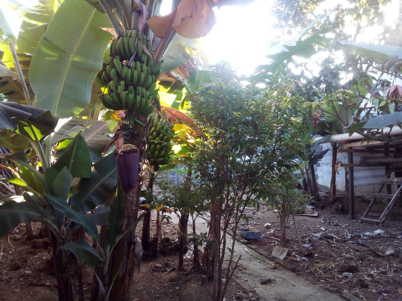 Terreno à venda Vila Lageado com 500m² e 1 quarto por R$ 650.000 - 105560887-img-20220428-wa0019.jpg