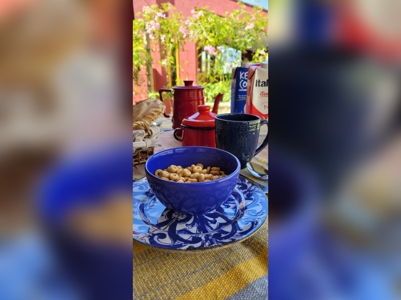 Chácara à venda Serrano com 240m² e 5 quartos por R$ 1.800.000 - inbound5867632504702546243.jpg