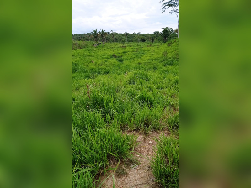 Fazenda à venda Centro com 404846m² e 3 quartos por R$ 1.300.000 - img-20240117-wa0006.jpg