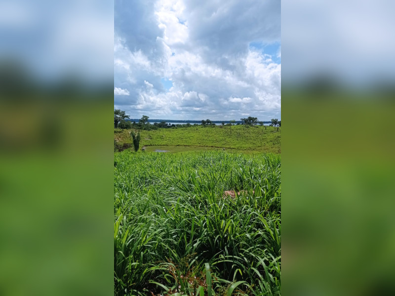 Fazenda à venda Centro com 404846m² e 3 quartos por R$ 1.300.000 - img-20240117-wa0007.jpg