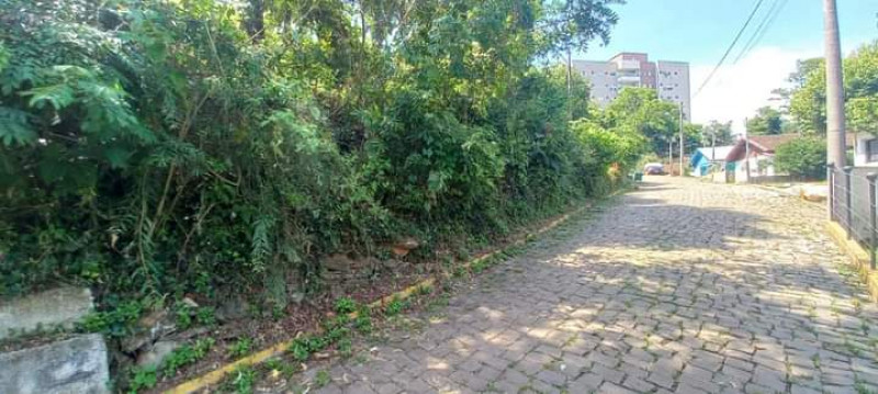 Terreno à venda Centro com 660m² e 1 quarto por R$ 320.000 - 59718868-fb-img-1706541456860.jpg