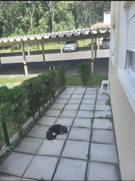 Apartamento à venda Santa Candida com 58m² e 3 quartos por R$ 380.000 - 1796486583-photo-2024-01-08-17-01-31-2.jpg