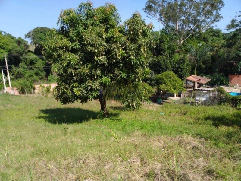 Terreno à venda Santana com 1614m² e 1 quarto por R$ 800.000 - 1096184963-foto-5-terreno.jpeg