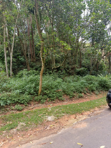 Terreno à venda Fazenda Velha com 600m² e 1 quarto por R$ 170.000 - 1194509753-3-lateral-esquerdo.jpeg