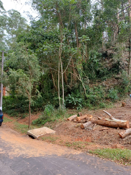 Terreno à venda Fazenda Velha com 600m² e 1 quarto por R$ 170.000 - 74345816-2-lateral-dir.jpeg