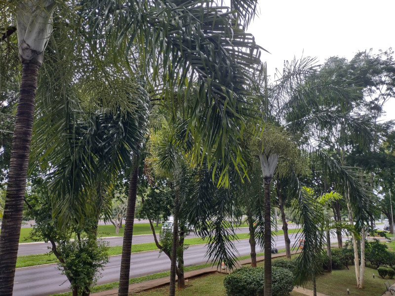 Apartamento à venda Asa Norte com 112m² e 3 quartos por R$ 1.450.000 - 2010290236-whatsapp-image-2024-02-01-at-14.jpeg