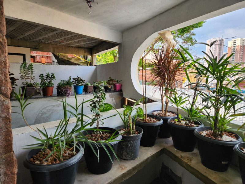 Casa à venda Jardim São Paulo(Zona Norte) com 500m² e 4 quartos por R$ 2.000.000 - 2110159310-img-20240131-wa0011.jpg