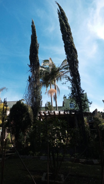 Casa à venda Cachoeira com 600m² e 5 quartos por R$ 980.000 - 157672805-img-20240130-wa0065.jpg